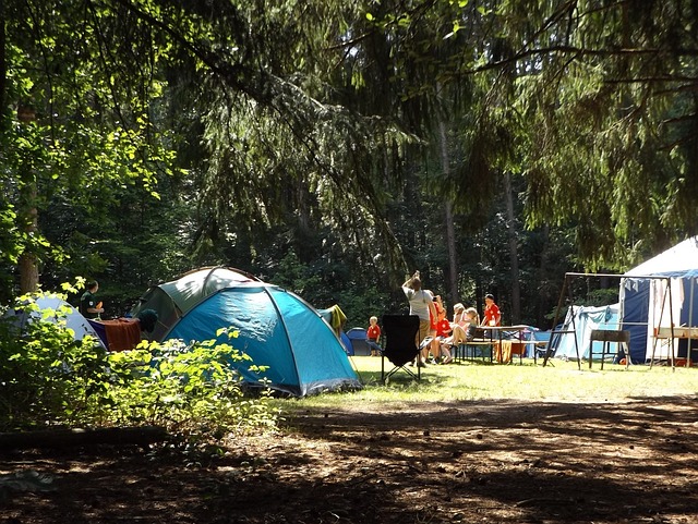 foret camping